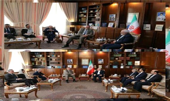 هماهنگ کننده ویژه سازمان ملل در امور لبنان با ظریف دیدار کرد