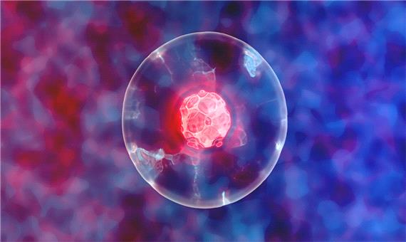پایداری سلول‌های زنده تا دو هفته با استفاده از نانو ذرات