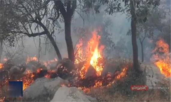 ادامه آتش‌ سوزی در جنگل های «خائیز» کهگیلویه و بویراحمد