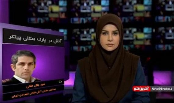 سخنگوی سازمان آتش نشانی: علت آتش سوزی بوستان چیتگر مشخص نشده است