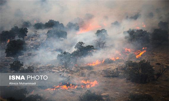 آتش‌سوزی جنگل‌ چه بلایی بر سر خاک می‌آورد؟