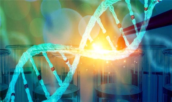 توسعه ابزاری جدید برای ویرایش ژن گامی بزرگ در پیشبرد علم ژنتیک