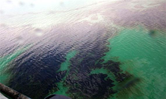 برآورد خسارت محیط‌زیستی لکه‌های نفتی خلیج‌فارس در حال انجام است