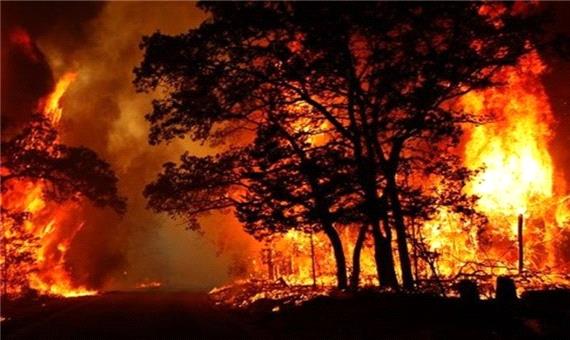 تهیه نقشه‌های پیش‌بینی وقوع آتش‌ سوزی در جنگل‌ها