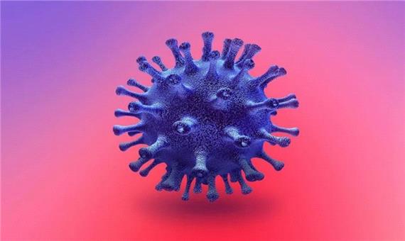 دانشمندان احتمالا ضعف ویروس کرونا را پیدا کرده‌اند
