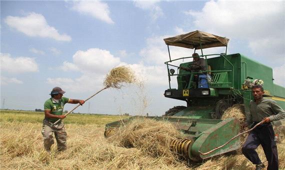 رشد 1.3 برابری تولیدات کشاورزی در دولت تدبیر و امید