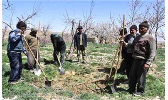 رشد 176 درصدی پوشش بیمه‌ای روستاییان در خراسان شمالی