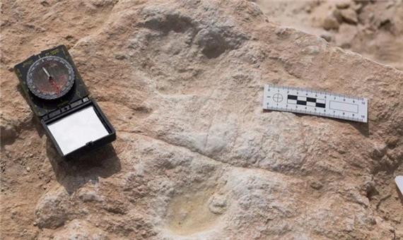 ردپای 120 هزار ساله انسان خردمند در عربستان کشف شد