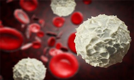 مولکول دی ان ای به جنگ سلول‌های سرطانی خون می‌رود