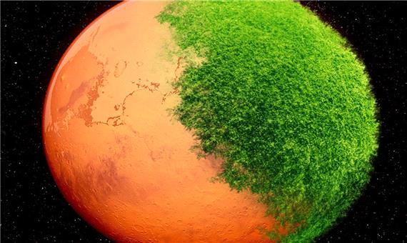 آیا حیات اولیه از “مریخ” آغاز شده است؟