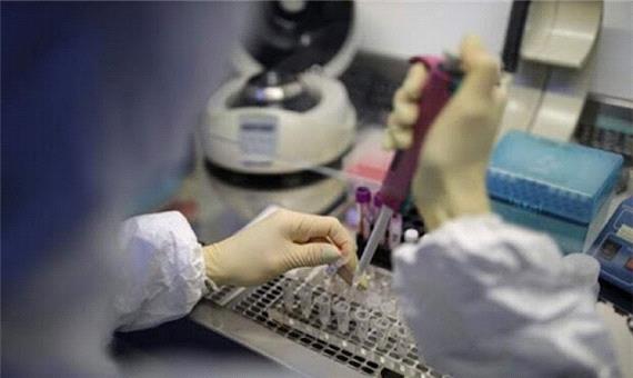 انجام 450 هزار تست PCR در استان تهران/وضعیت غربالگری بیماری ها