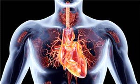 آیا قلب توانایی ایجاد میدان مغناطیسی دارد؟