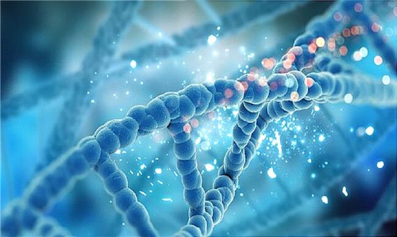 روش جدید مقابله با بیماری‌های ژنتیکی به کمک نوعی لنتی‌ویروس
