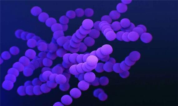 روش جدیدی برای شناسایی داروهای موثر در برابر باکتری‌های مقاوم