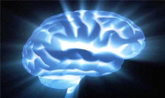 چگونه ماده سفید مغز می‌تواند در درمان افسردگی موثر باشد؟