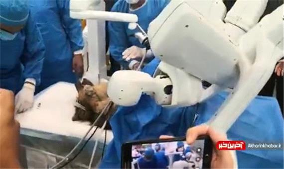 اولین عمل جراحی از راه دور در ایران انجام شد