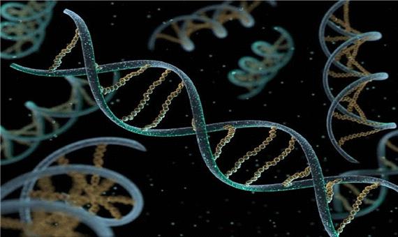 پستانداران گورستانی از ویروس‌ها را درون DNA خود حمل می‌کنند