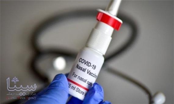 موفقیت واکسن اسپری بینی علیه کرونا