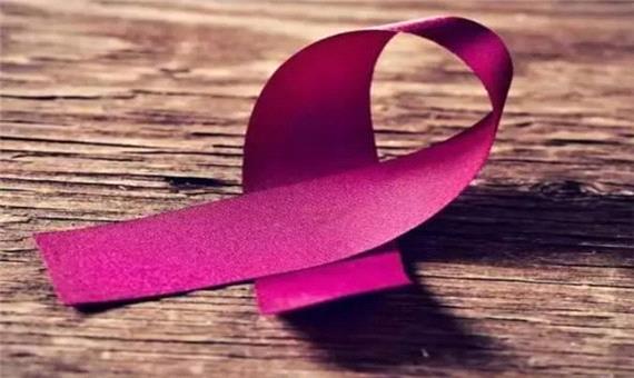 مواد شیمیایی رنگ ها رشد تومور سرطان سینه را سرعت می بخشند