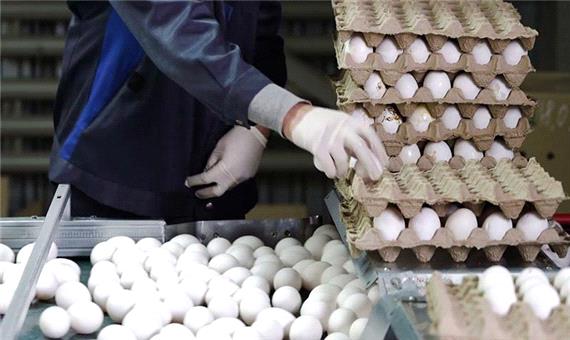 دولت دوازدهم چگونه بازار تخم‌مرغ را به هم ریخت؟