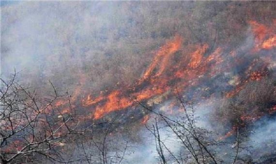 آتش‌سوزی شدید در جنگل‌های کردکوی