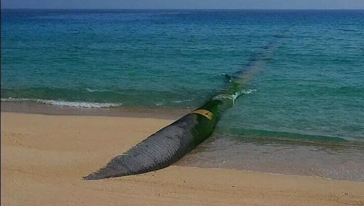 رئیس‌جمهور: انتقال آب‌ دریا به فلات مرکزی اقدامی اضطراری برای حفاظت از زاینده‌رود بود