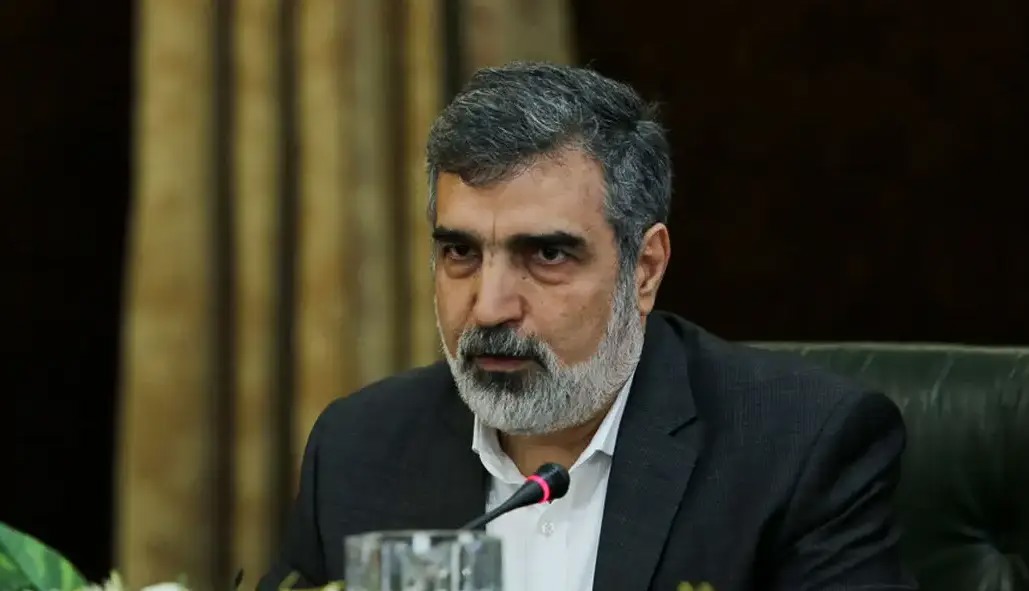 کمالوندی: تمرکز ما بر همکاری هسته‌ای با روسیه است