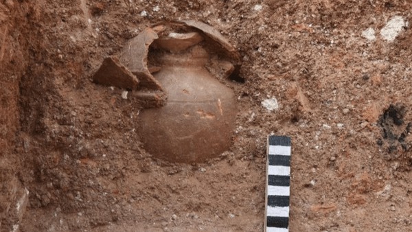 ماجرای کشف کوزه ساسانی در بوشهر پس‌از بارش‌های اخیر