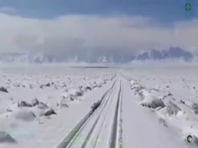 آهوها زیر برف تنها نماندند