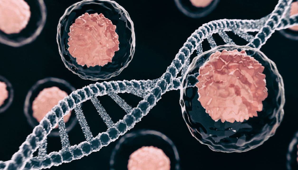 کشفی جدید که می‌تواند به مبارزه با سرطان‌های روده و کبد کمک کند