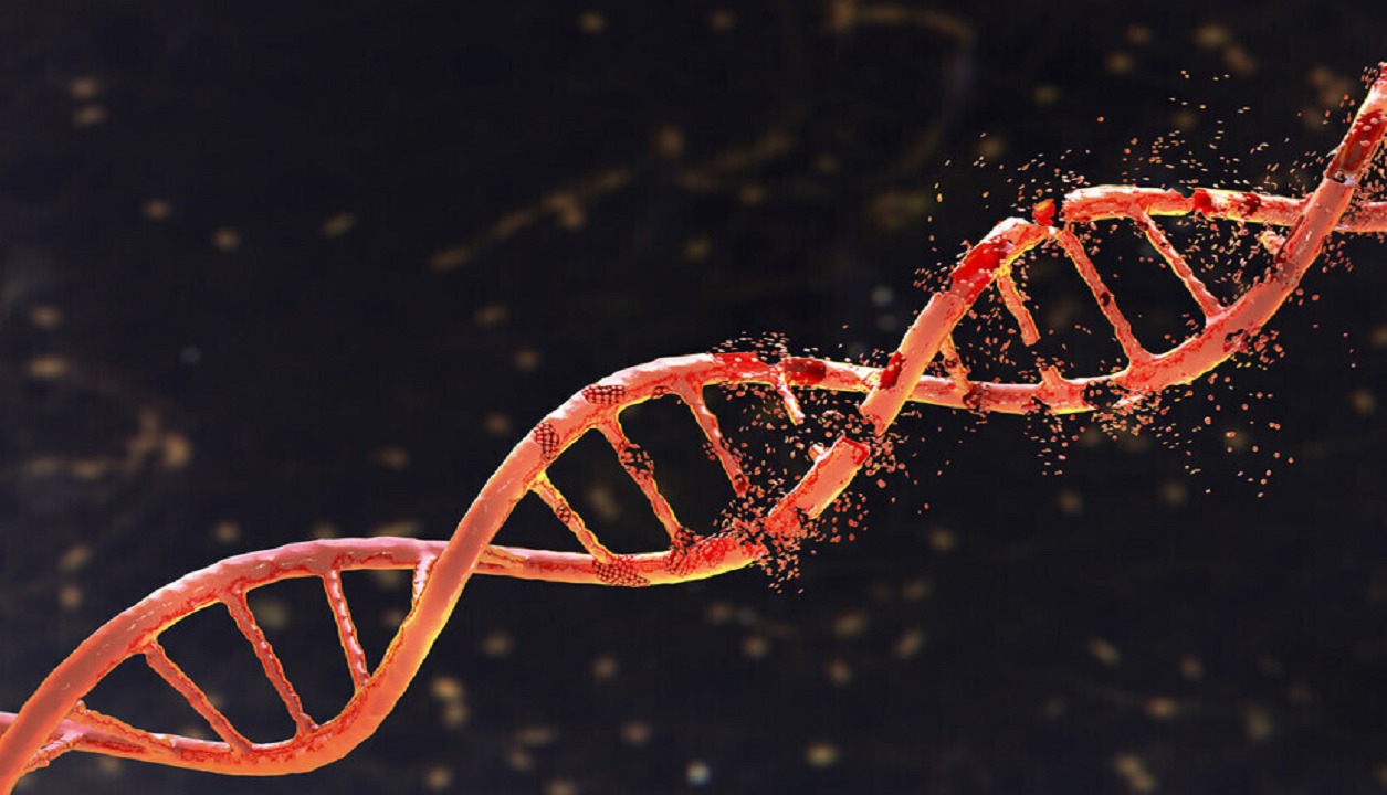 گوگل برای رمزگشایی ژنوم انسان و تجزیه و تحلیل جهش‌های ارثی