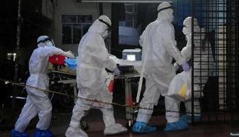 ویروس «نیپا» چیست و چقدر باید نگران آن باشیم؟