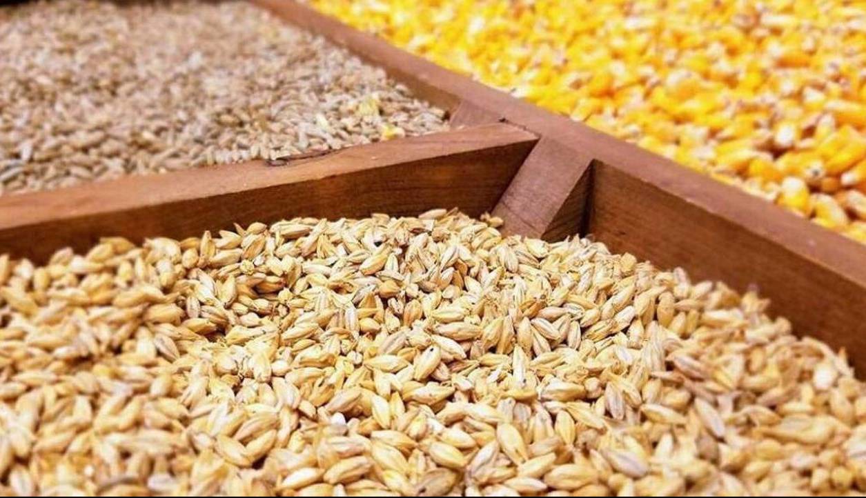 رفع محدودیت واردات نهاده‌های دامی تا پایان سال