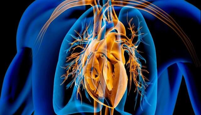 فواید داروی لاغری پرمصرف این روزها برای قلب