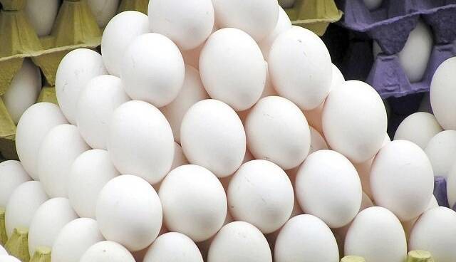 لغو ممنوعیت صادرات تخم‌مرغ با کاهش قیمت