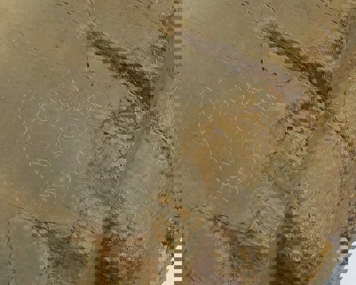 اقدام ناشایست ۲ دو بازدید کننده وی دیواره‌ دروازه‌ ملل تخت جمشید