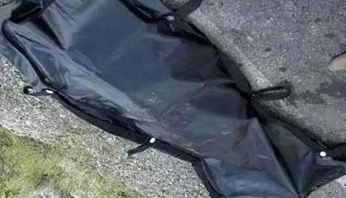 گزارش "اعتماد" از ابعاد تازه پرونده قتل «ملیکا»/ منبع آگاه: متهم، مقتوله را مورد تعرض قرار داده است