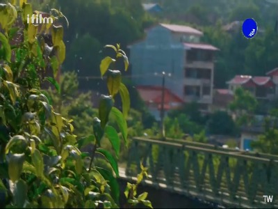 بچه من مگه کفشه جا گذاشتیش؟!