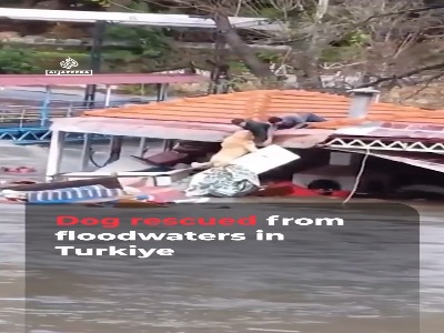 سیل آنتالیا را غرق کرد