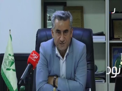 شوک گرانی کاغذ به تولیدکننده‌ها رسید؛ تعدیل نیروی ۲۰ درصدی چاپخانه‌ها