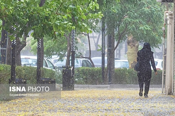رگبار باران در ۱۳ استان؛ وزش باد شدید تا ۹ استان