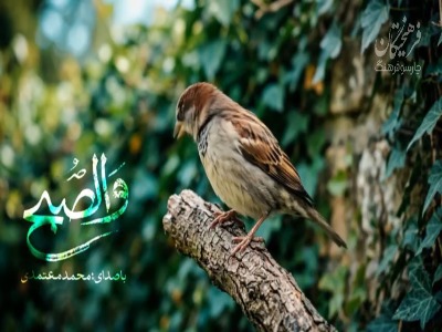 نماهنگ «والصبح» با صدای محمد معتمدی و شعری از محمدمهدی سیار برای رهبر شهید انقلاب