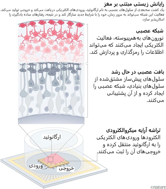 راه ترقی
