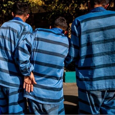 قتل یک زن توسط سارقان خطرناک | آخرین خبر