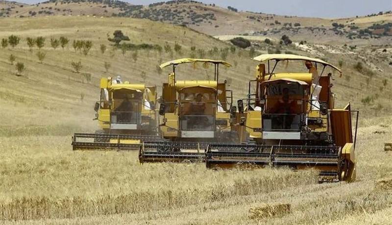 پرداخت ۱۰۰ همت دیگر از مطالبات گندمکاران در هفته آینده