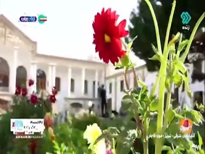 اجرای ترانه‌ای زیبا به زبان ترکی