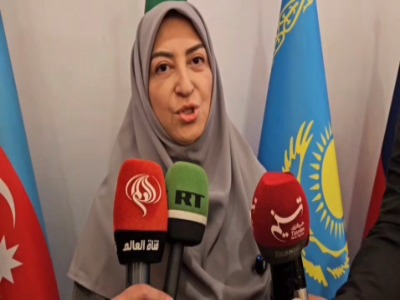رئیس سازمان حفاظت محیط زیست: برنامه حفاظت از فوک خزری در بیانیه نهایی خزر گنجانده شد