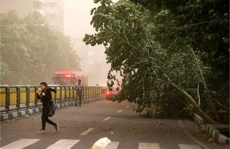 باران و باد در بخش‌های شمالی کشور
