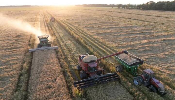 افزایش شدید قیمت محصولات کشاورزی جهانی