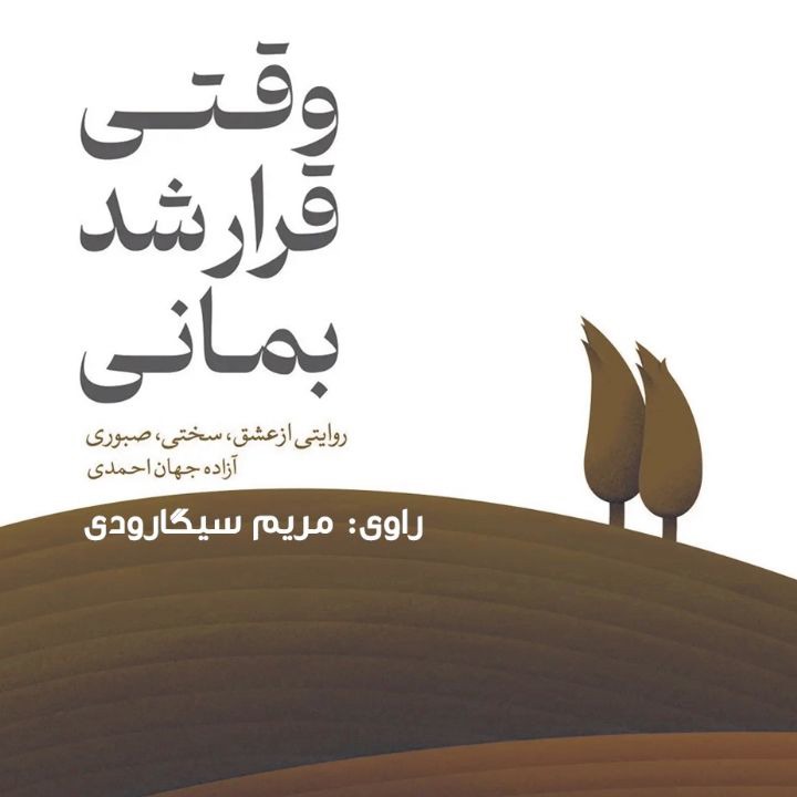 کتاب صوتی؛ وقتی قرار شد بمانی(فصل آخر)